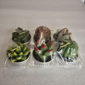 NEW Unbranded Mini Decorative Succulent Desert Cactus Votive Candles, Set Of Six
